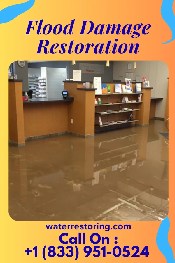 Flood Damage Restoration in Copeland, KS